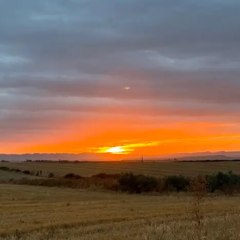 Estella – Los Arcos
